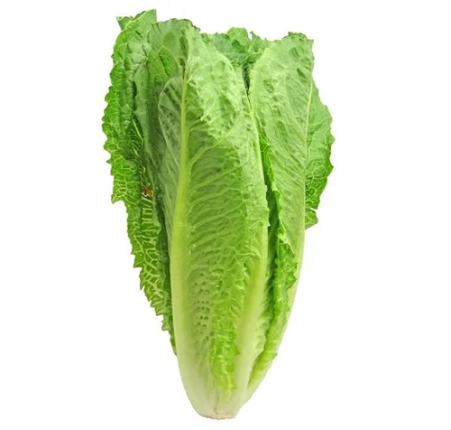 کاهو