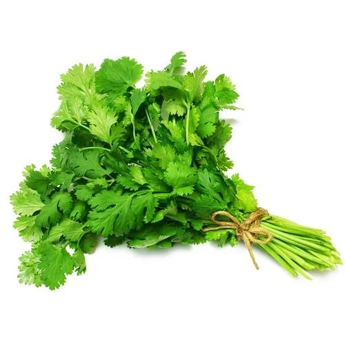 گشنیز