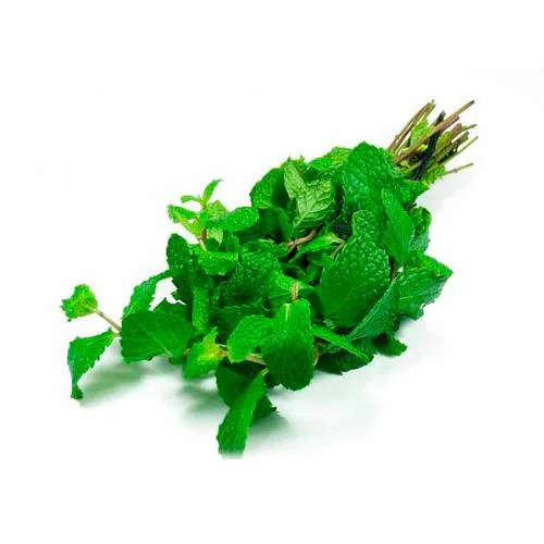 نعنا