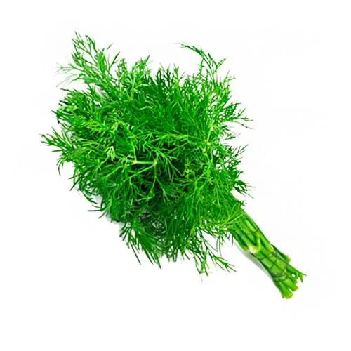 سبزی شوید