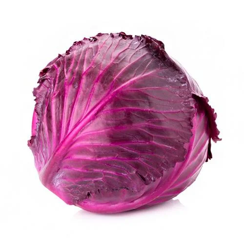 کلم بنفش