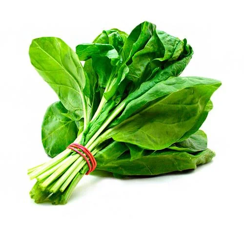 اسفناج