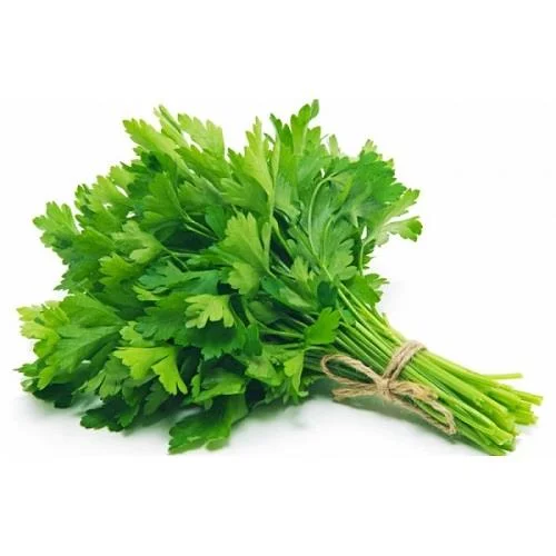 جعفری