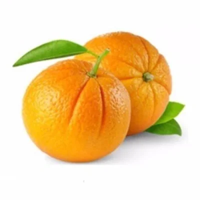 پرتقال